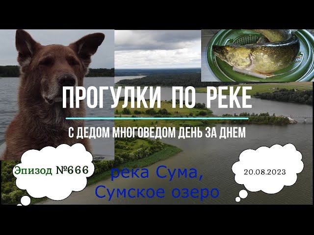 Прогулки по реке. День за днем с дедом Многоведом. 20 августа 2023г. Эпизод 666.