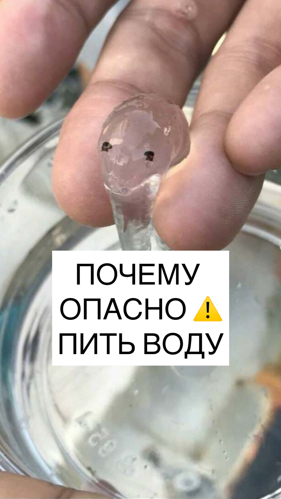 В такой воде обитают….
