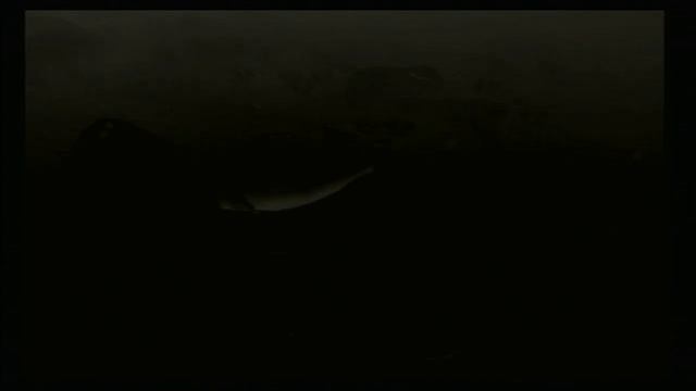 Reel Fishing 3 Pt 2 (how is this video even possible)