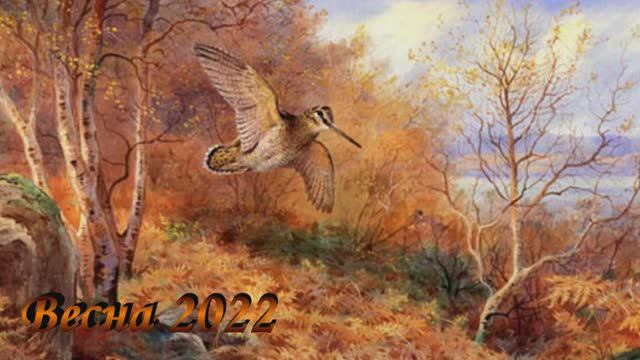 Весна 2022. На тяге.