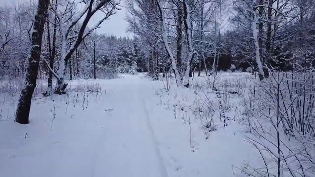 Русская зима, видео для расслабления и быстрого, комфортного засыпания