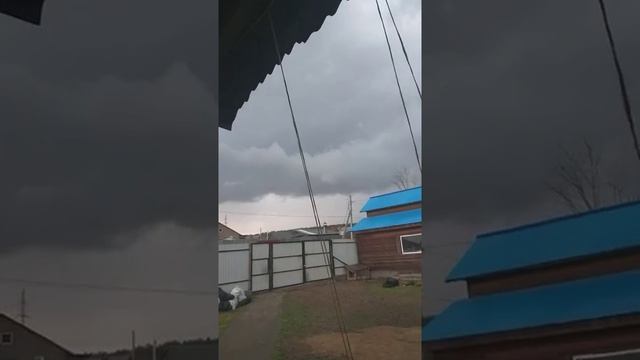 Дождик.mp4