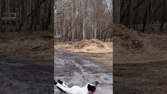 VID_20231125_024811_450.mp4