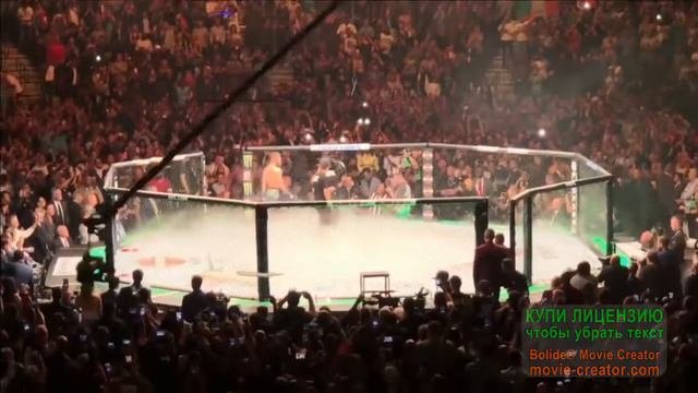 UFC 229 Конор и его банда выходят на бой с хабибом