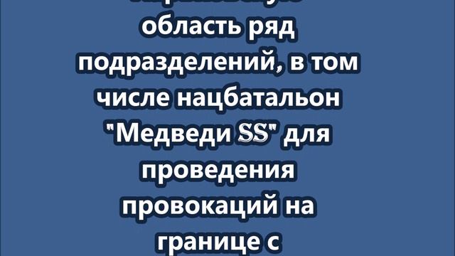 ВСУ  перебросили в Харьковскую область нацбатальон "Медведи SS"