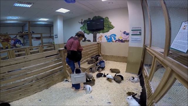 Леонид в контактном  зоопарке "Страна  Енотия".