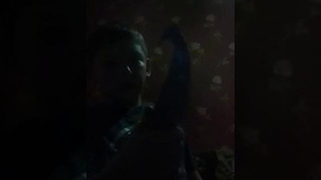 Мои поделки ножи из игры cs go