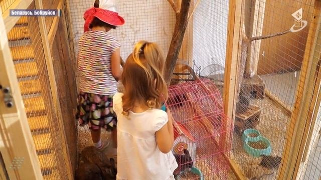 Удивительный мир животных в Бобруйске
