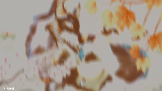 ~| твои синие глаза |~ WildCraft / Sĩŋãŗã