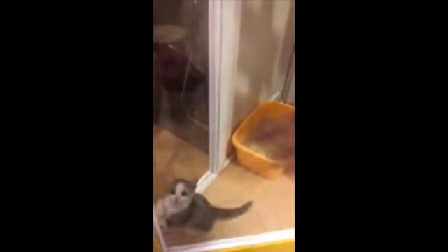2 части про шни шна шнапи)