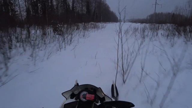 Первый выезд черного Кота. Снега нет. Печаль.