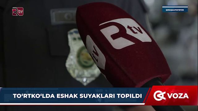 To‘rtko‘lda eshak suyaklari topildi