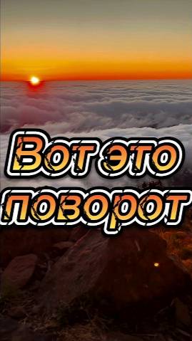 Вот это поворот!