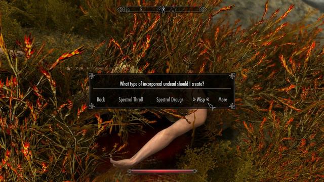 Necromancy Mod for Skyrim: The Dark Arts