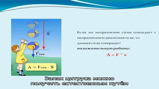Как защитить хлебницу от кота