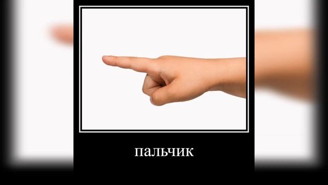 богдан любит какиш)))