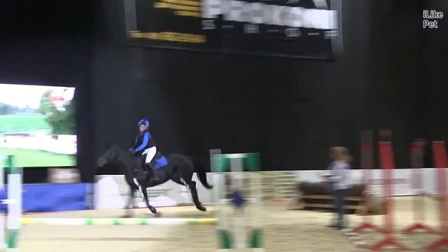 Конное  троеборье  ЭКВИРОС 2016 на ilikepet