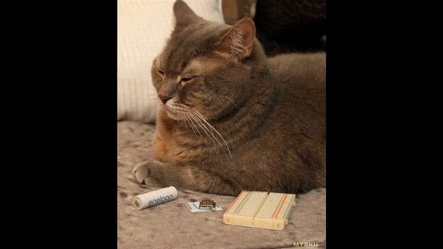 Метеостанция на основе ESP8266  Обзор