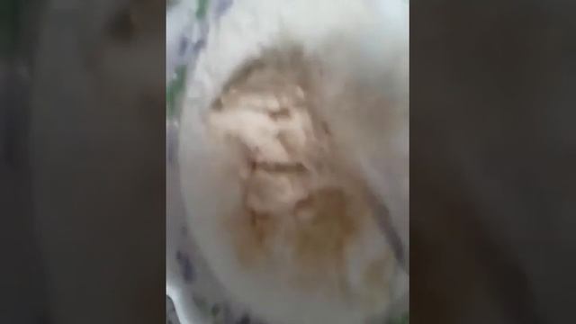 Как сделать пластилин в домашних условиях без масла
