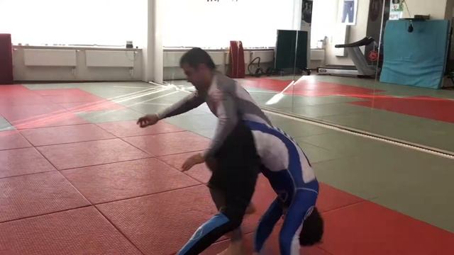 GOJIRA TEAM / BJJBROSOS