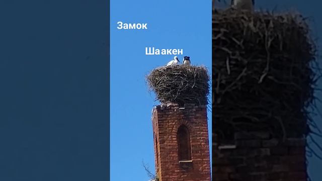 остатки замка шаакен, кстати там есть на что посмотреть.