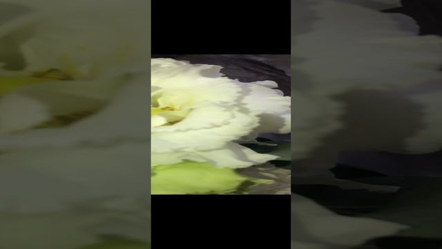02-06-2023 букет
