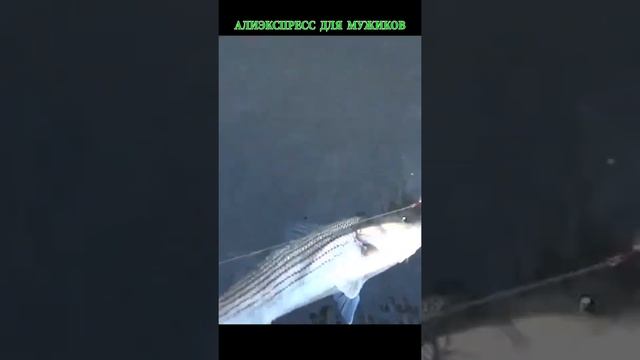 Интересное приспособление для извлечения крючка из рыбы