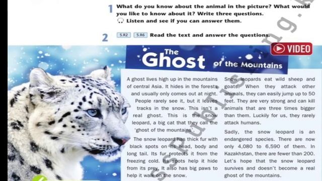 Excel. Grade 5. Unit:Fantasy world. Lesson 58. Animals