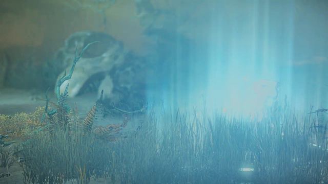 Will, Lost Ark Quest