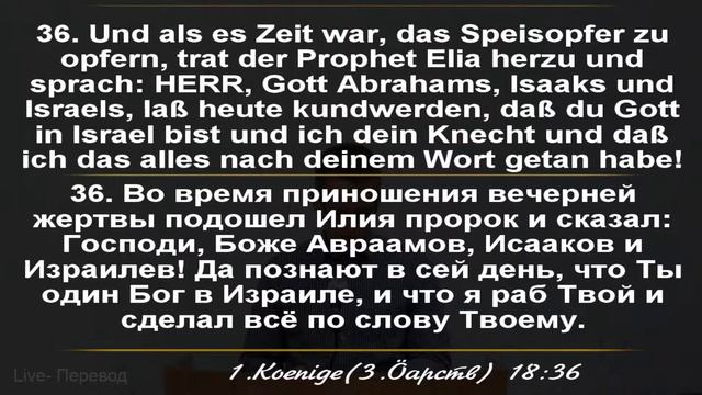 Cлужение. 11.09.2021  // Прямая трансляция