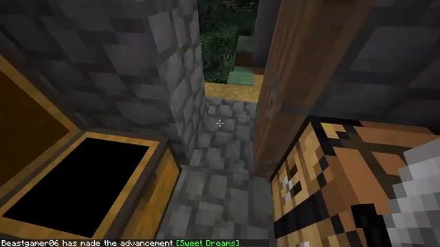 Minecraft survival 1 16 5 {Simo SMP}