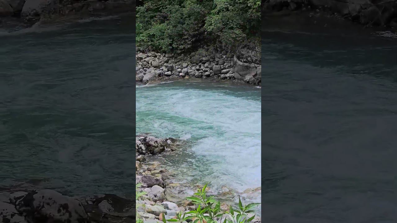 Абхазия, горная река с чистейшей водой. Abkhazia, a mountain river with the purest water. #абхазия