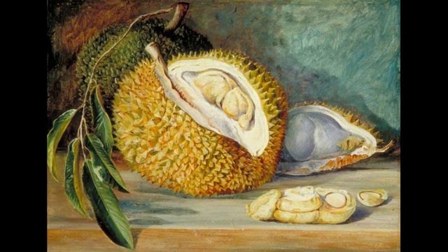 PV3 : Le Durian ?, je t’aime moi non plus, Entre répulsion et dévotion. ?