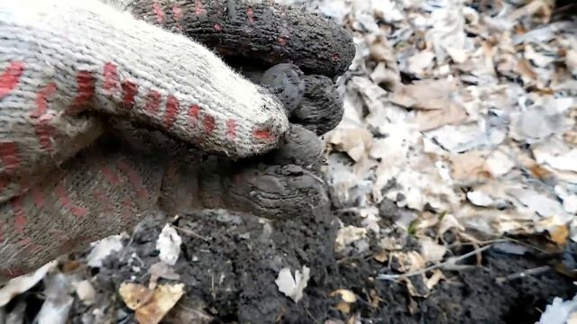 поиск монет в старинной деревне