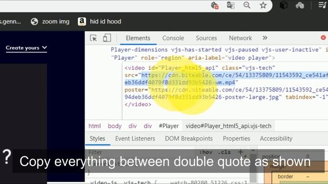 Download any video from Internet uding source code