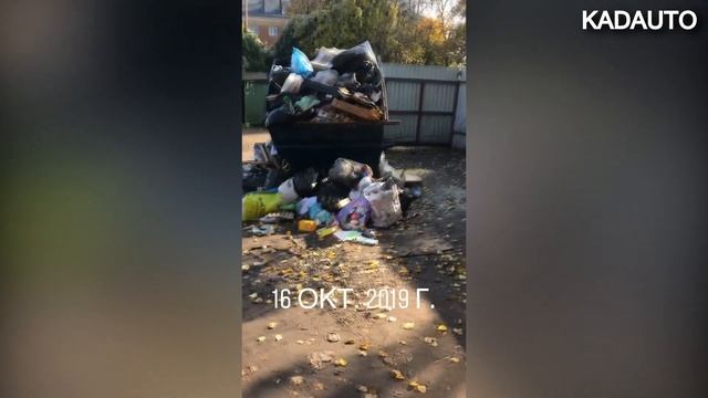 Ароматный вход в детский сад №42. Калининград.