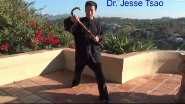 Jesse Tsao Tai Chi Qigong Cane Stretch: Deer Look Back
