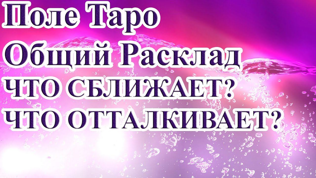 ЧТО СБЛИЖАЕТ? ЧТО ОТТАЛКИВАЕТ?