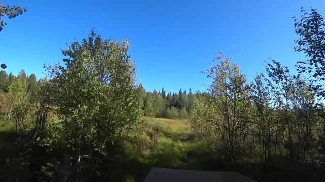Прогулка в осенний лес набрали немного брусники