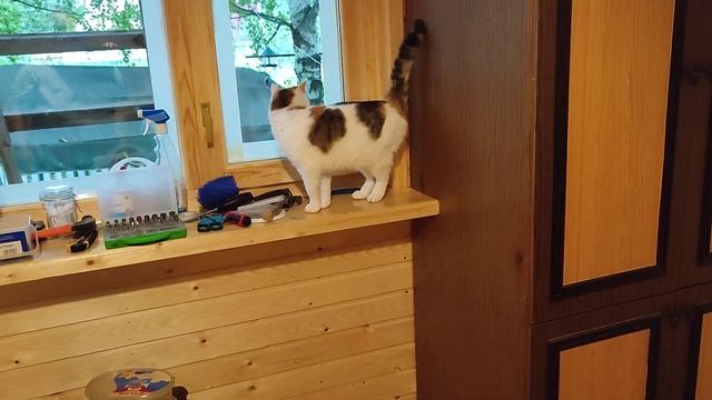Соня нашла где будет самое козырное место в новой комнате