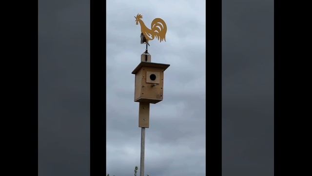красота в глазах смотрящего