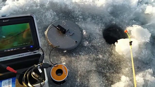 Зимняя рыбалка на ротана