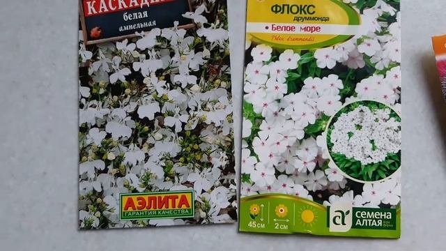 Праздник Крещения или как мы проиграли деньги в азартных играх
