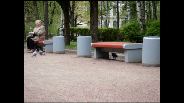 Дрозды атакуют ворону