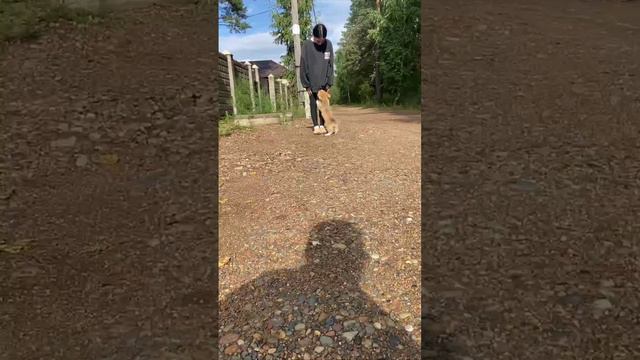 1000045373.mp4