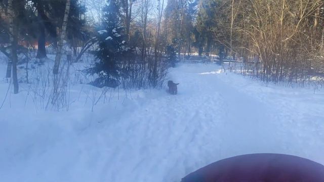 Трямский влог: февральские морозы, обморожения