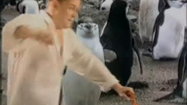 Зелёный сон