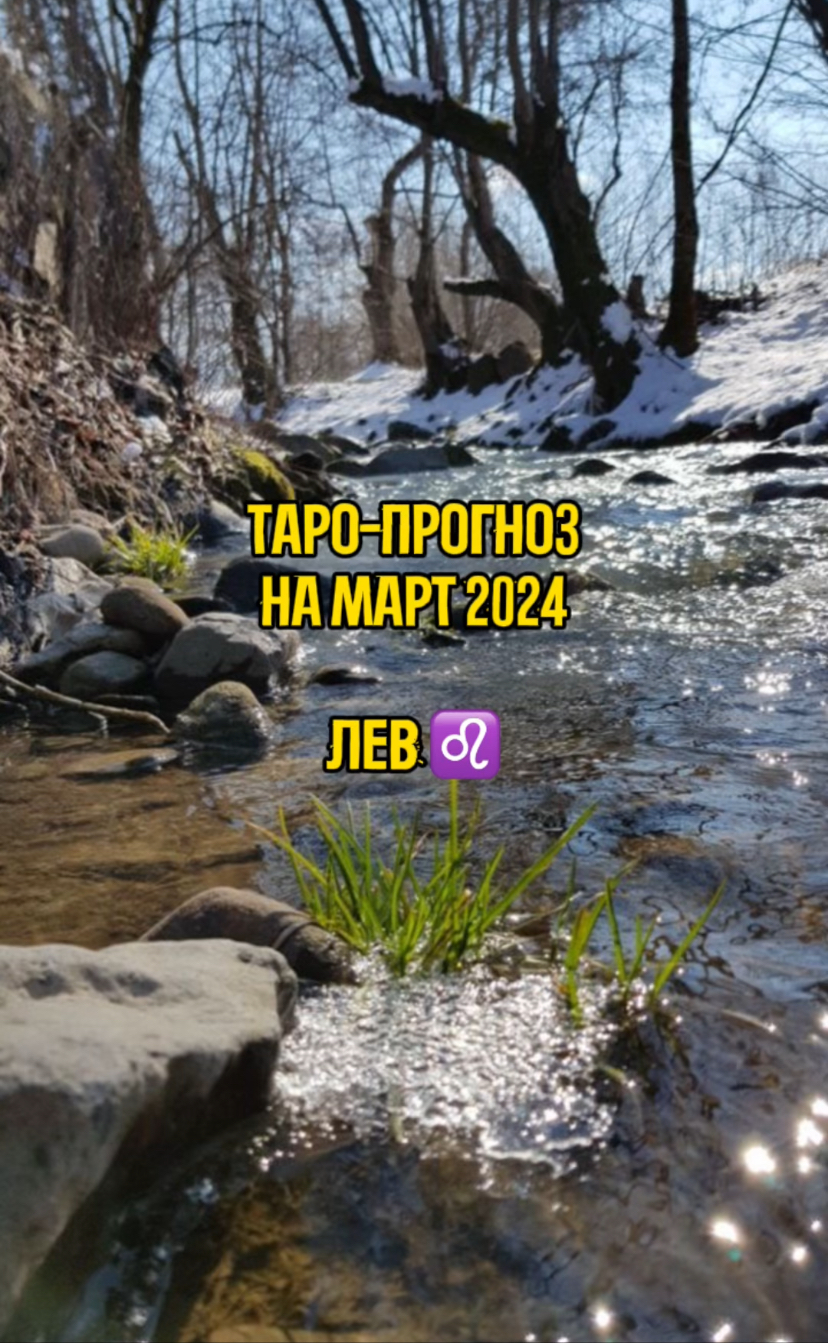 Таро - прогноз на Март 2024 - знак Лев