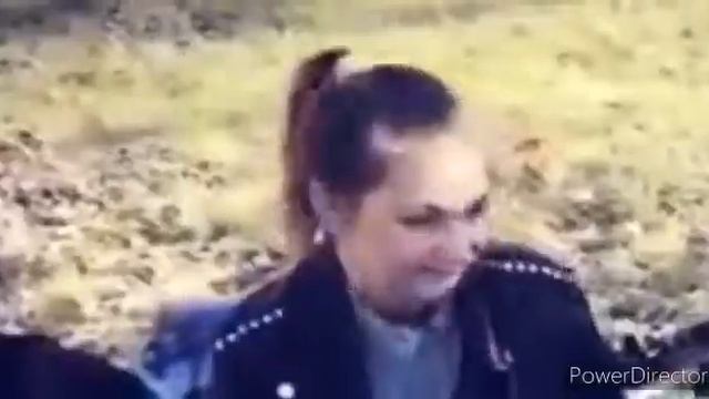 Создаём друг-другу анкеты в "Леонардо ДайВинчик"| ВКонтакте | Белые Волки