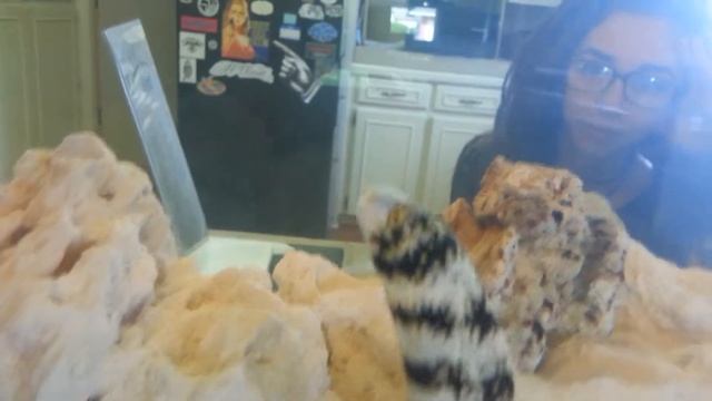 Saturn the Sandworm.